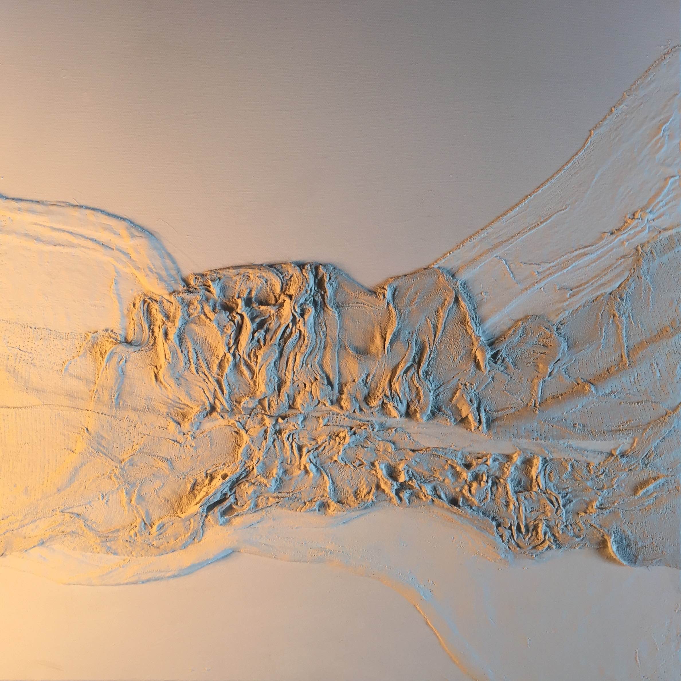 Écorché.  50 x 50cm